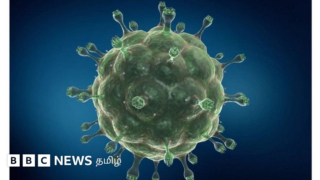 எச்.ஐ.வி தொற்றில் இருந்து குணமடைந்ததாக கருதப்படும் உலகின் முதல் பெண்