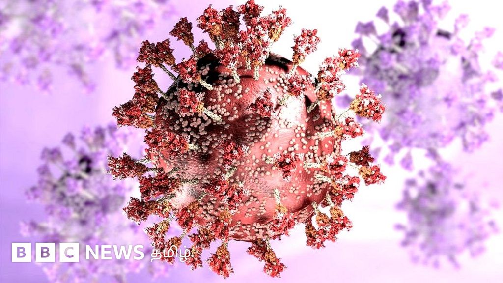 ஒமிக்ரான்: கொரோனாவிலிருந்து மீண்டவர்களை புதிய திரிபு மீண்டும் தாக்குமா? முதற்கட்ட தரவுகள் சொல்வதென்ன?