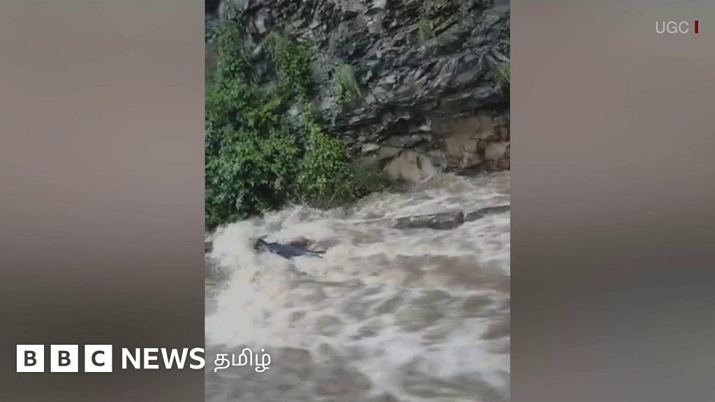 ஆந்திராவை உலுக்கிய கனமழை, உடைந்த அணை - பலியான உயிர்கள், நாசமான பயிர்கள்