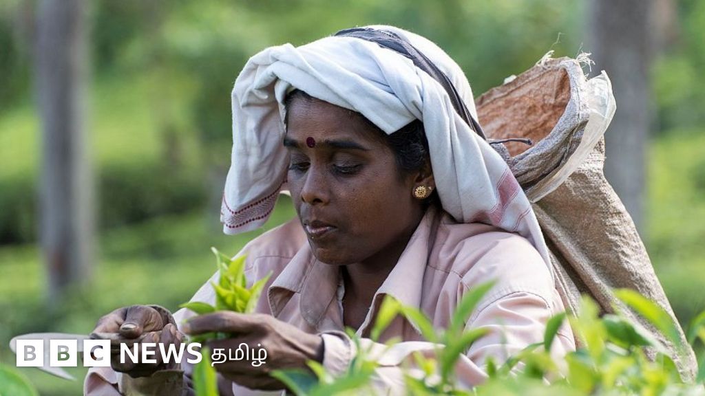 இலங்கை பொருளாதார நெருக்கடி: ''மலையக மக்களுக்கு இந்த பிரச்னை பழகி போச்சு, கொழும்பில் உள்ளவர்களுக்கு இது புதுசு