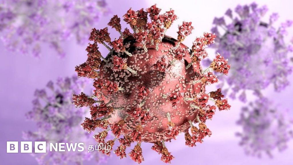 ஒமிக்ரான் திரிபு: சுமார் 85% அளவுக்கு பூஸ்டர் தடுப்பூசி சிறப்பாக செயல்படும்