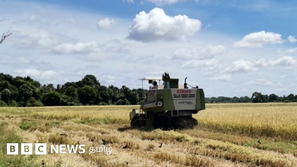 இயற்கை விவசாயத்தால் பெரும் இழப்பு: 'அறுவடைக்கு பின் இழப்பீடு தரும் இலங்கை அரசு'