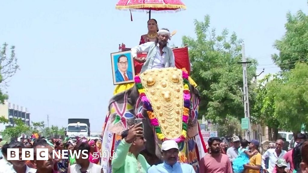 அம்பேத்கர் படத்தோடு யானை மீது ஊர்வலம் வந்து திருமணம்‌ செய்த பெண்