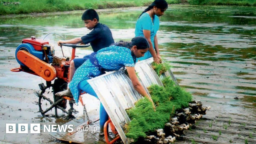 இ-வாடகை: டிராக்டர், அறுவடை, நடவு இயந்திரங்களை வாடகைக்கு விடும் திட்டத்தில் பயன் பெறுவது எப்படி?