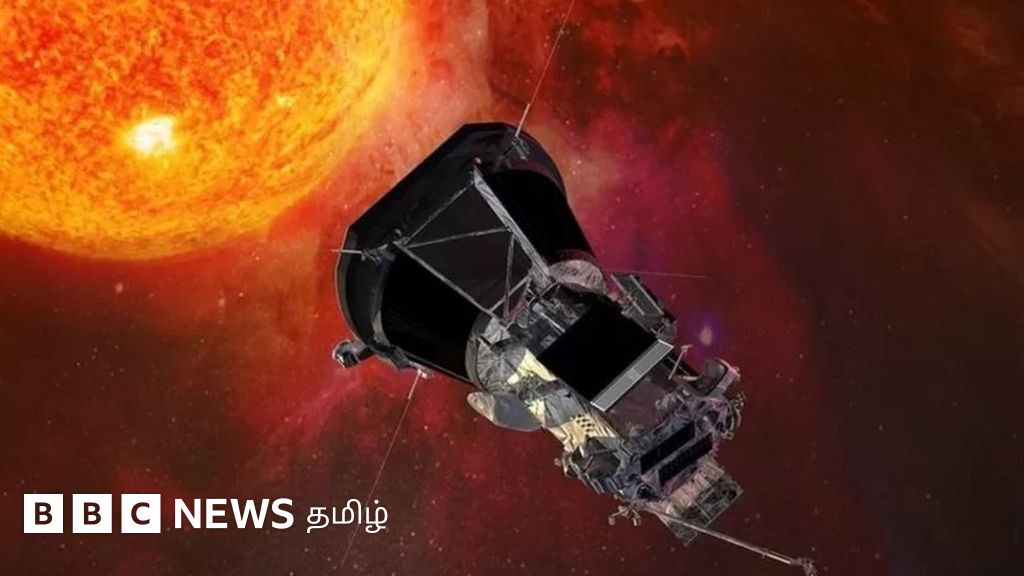 புத்தாண்டு 2022: வயாகரா முதல் 24,000 ஆண்டுகளுக்குப் பின் உயிர்த்தெழுந்த உயிரினம் வரை - 2021இல் நடந்த உலகின் சுவாரசிய அறிவியல் நிகழ்வுகள்