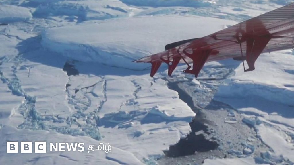 வேகமாக உருகப் போகும் 'அழிவுநாள்' பனிப்பாறை: கடல் மட்டம் எவ்வளவு உயரும்?