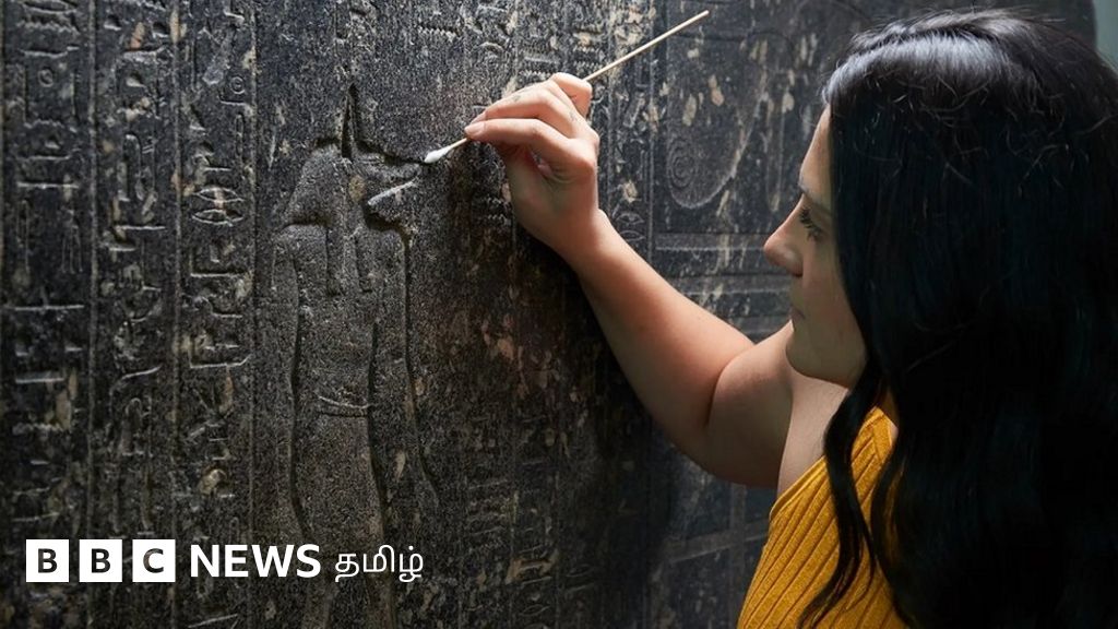 ரொசெட்டா ஸ்டோன்: சித்திர எழுத்துமுறை மர்மத்தை விளக்கியதில் அரேபியர்கள் பங்கு இருட்டடிப்பு செய்யப்பட்டதா?