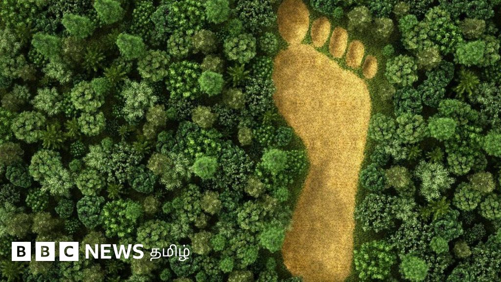 காடுகளை அழிக்க இப்படியொரு சட்டத் திருத்தமா? - இந்திய அரசின் முயற்சிக்கு எதிர்ப்பு வலுப்பது ஏன்?