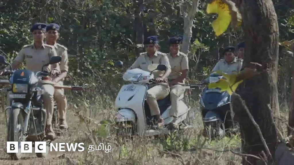 குஜராத்தின் 2500 ஹெக்டேர் வன பரப்பை காவல் காக்கும் 7 பெண்கள்