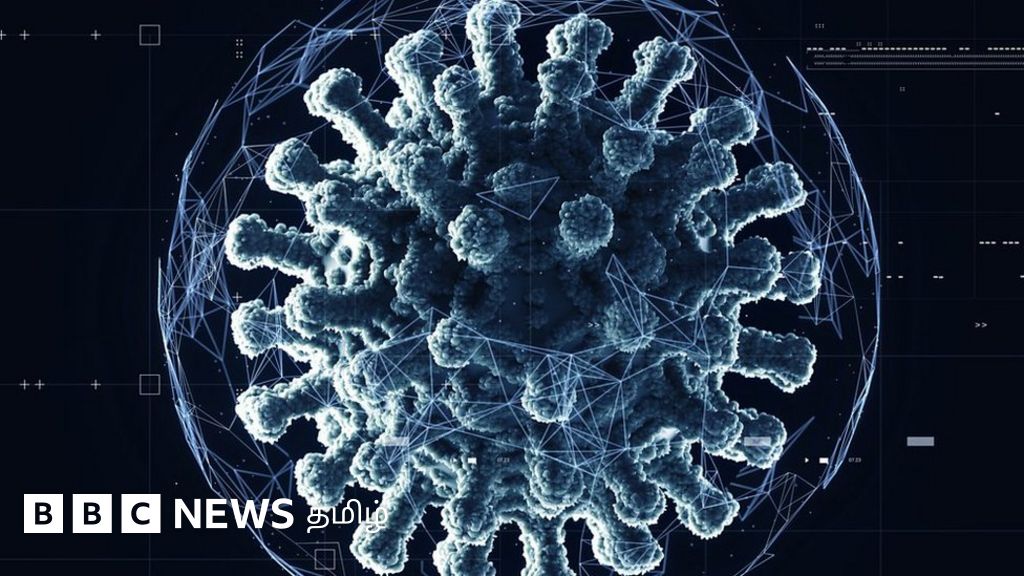 ஒமிக்ரான் போன்ற திரிபுகள் எப்படி உருவாகின்றன?