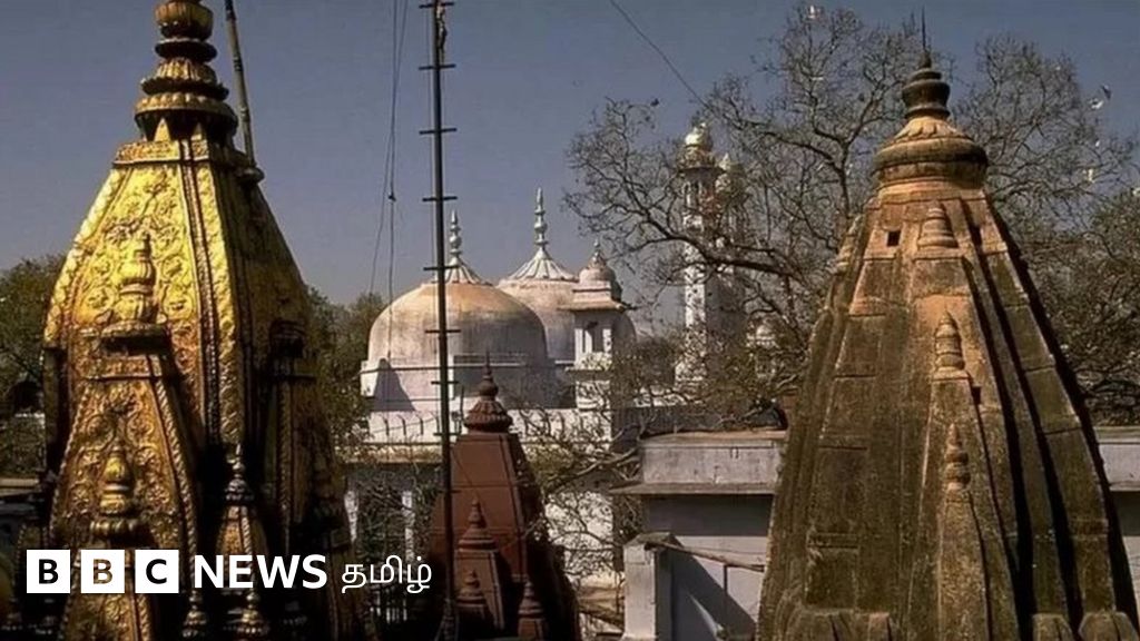 ஞானவாபி: 'கார்பன் டேட்டிங்' பற்றி அக்டோபர் 11இல் உத்தரவு - கார்பன் டேட்டிங் என்றால் என்ன?