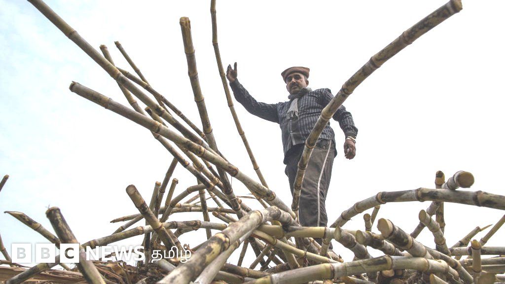 உத்தரப் பிரதேச தேர்தல்: யோகி ஆதித்யநாத் அரசு விவசாயிகளுக்குச் செய்த வாக்குறுதிகளை நிறைவேற்றியதா?