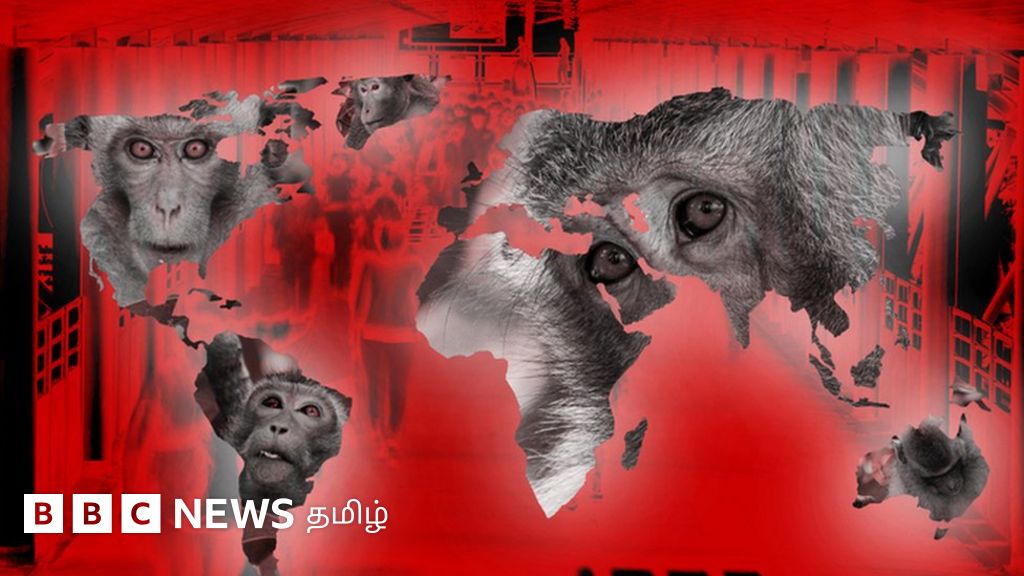 குரங்கு அம்மை பாதிப்பு கேரள இளைஞருக்கு உறுதியனது - மாநிலங்களை எச்சரிக்கும் இந்திய அரசு