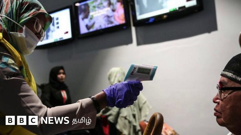 குரங்கம்மை எப்படி பரவும்? இது தொற்றினால் உடலில் என்ன நடக்கும்?