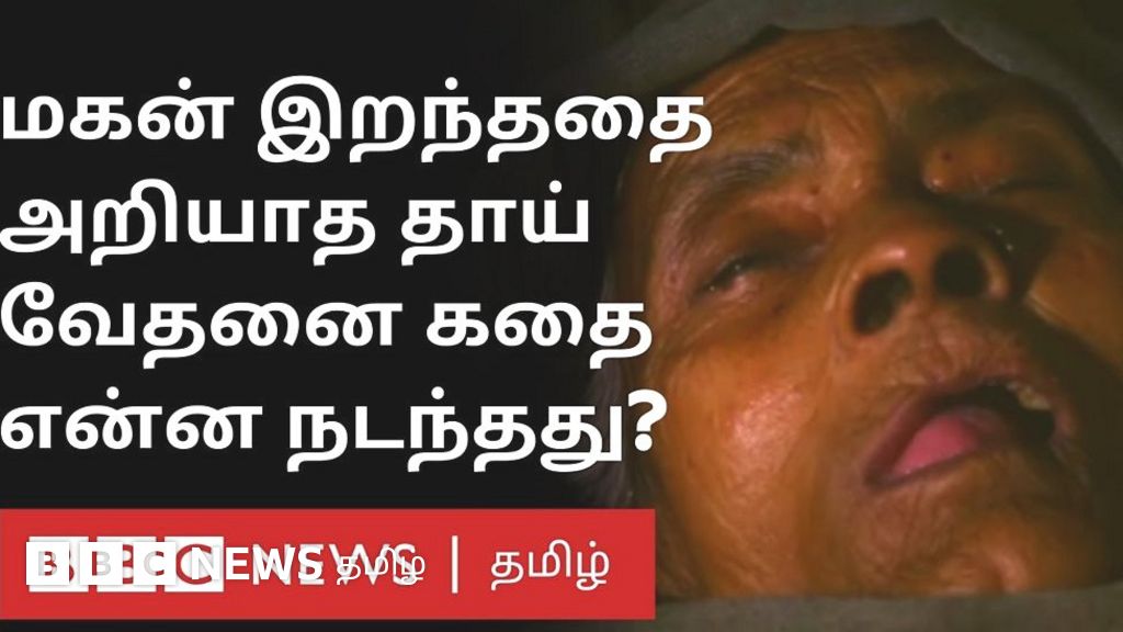 உத்தர பிரதேச தேர்தலில் அரசியலாக்கப்படும் தெரு மாடுகள் பிரச்னை