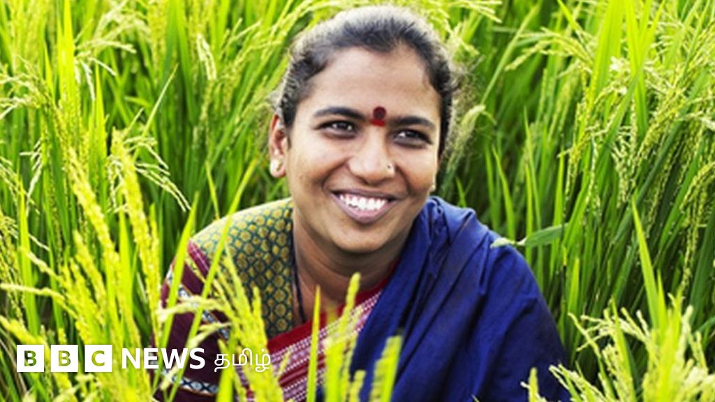 விவசாயம்: பிஎம் கிசான் திட்டத்தில் நிதியுதவி பெறுவது எப்படி ?