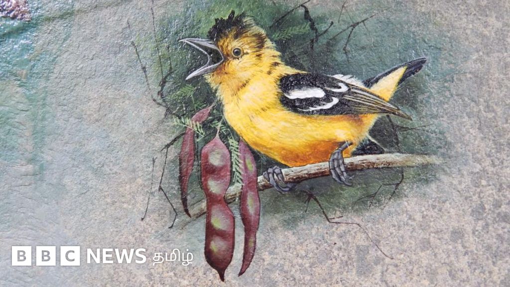 பறவைகளை துல்லியமாக வரையும் ஓவியர் - தமிழ் களக் கையேட்டில் இடம் பெற்ற படங்கள்