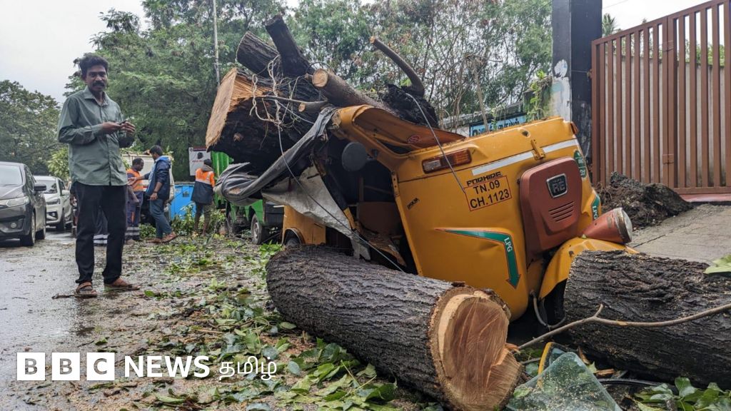 மேன்டோஸ் புயல் படங்கள்: சென்னையில் முறிந்த மரங்கள், சேதமான படகுகள்
