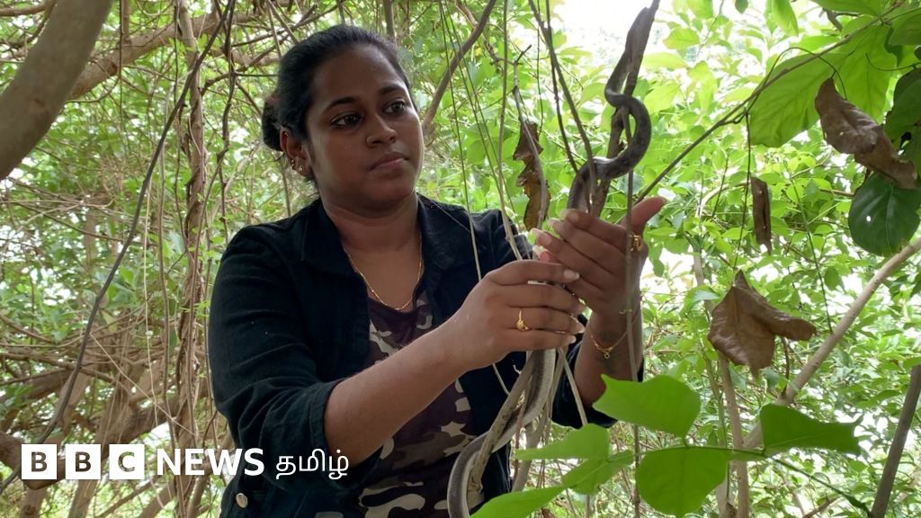 பாம்புகளை மீட்கும் 24 வயது பட்டதாரி பெண்