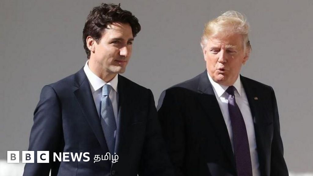 கனடா, சீனாவுக்கு எதிரான டிரம்பின் முடிவால் அமெரிக்காவுக்கு என்ன இழப்பு ஏற்படும்? நிபுணர்கள் என்ன சொல்கிறார்கள்?