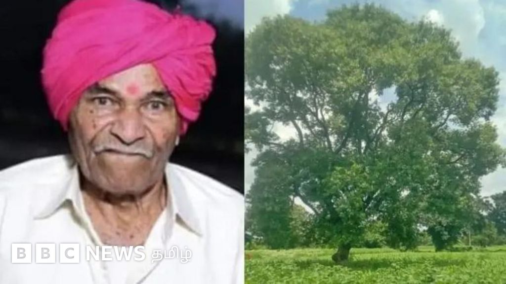 ஒரே ஒரு மரத்திற்காக ரூ.1 கோடி டெபாசிட் செய்த ரயில்வே - என்ன காரணம்?