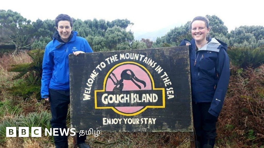 ஆளே இல்லாத தொலைதூர தீவில் வேலை - ஊதியம் 25 லட்சம் ரூபாய்