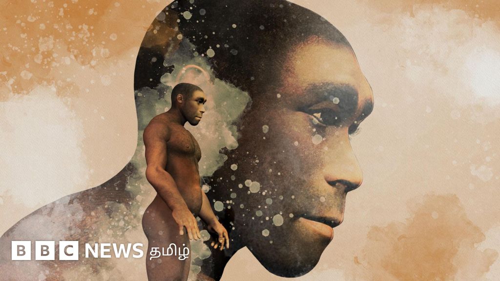 ஆப்பிரிக்காவுக்கு வெளியே மனித குலம் தழைக்க 'நியாண்டர்தால்' அடிகோலியது எப்படி? 
