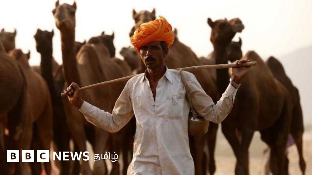 இட ஒதுக்கீடு உச்ச வரம்பை அதிகரிக்க முயலும் மகாராஷ்டிரா, பிகார், ராஜஸ்தான் - தமிழ்நாட்டை பின்பற்றுகின்றனவா?