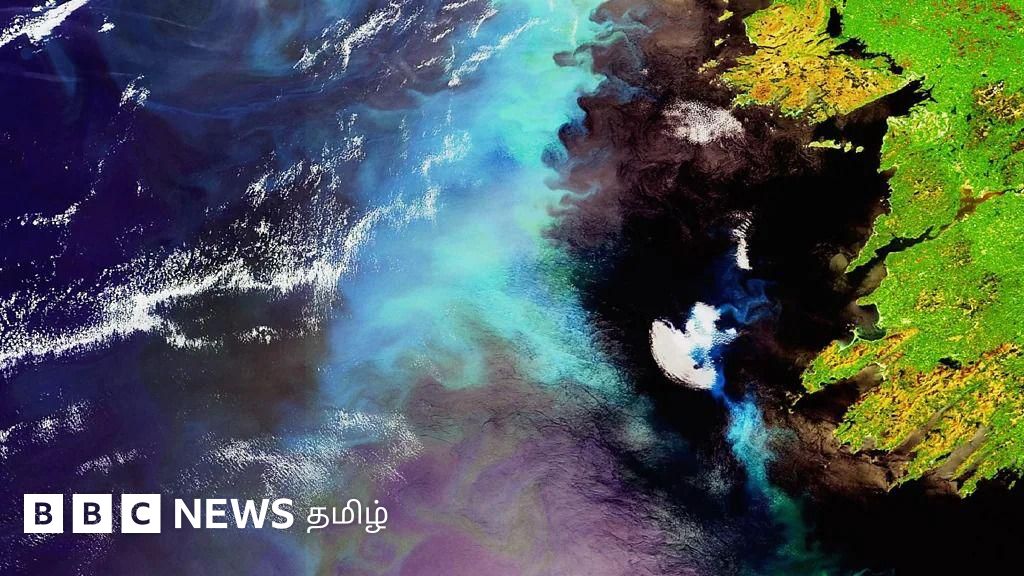 நிறம் மாறும் பெருங்கடல்கள் - என்ன காரணம்? மனிதர்களுக்கு என்ன பாதிப்பு?