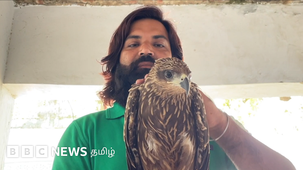 அன்று நாரை இன்று பருந்து - முகமது ஆரிஃபை தோழமையுடன் தேடி வந்த இன்னொரு பறவை