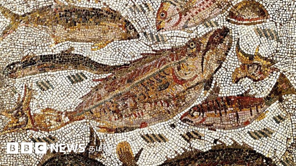 எலக்ட்ரோதெரபி - மின் மீன்கள் மூலம் வலி போக்கும் சிகிச்சை எப்படி வழங்கப்படுகிறது?