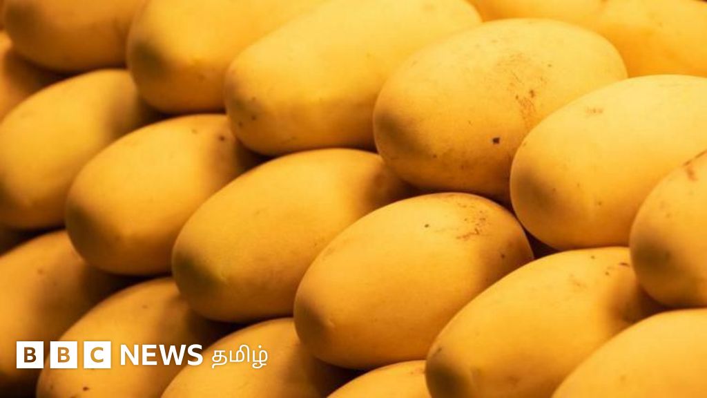 இந்தியாவும் பாகிஸ்தானும் கடைபிடிக்கும் 'மாம்பழ ராஜதந்திரம்' பற்றி தெரியுமா? 