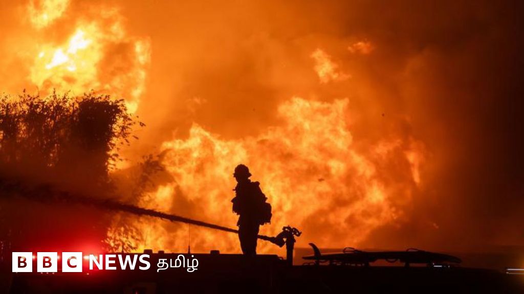 லாஸ் ஏஞ்சலிஸ் காட்டுத்தீ: ஏற்படக் காரணம் என்ன? மோசமாக தொடர்ந்து எரிவது ஏன்?-  முழு விவரம்