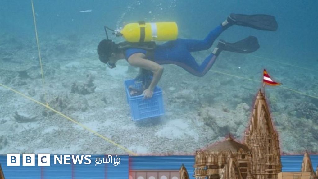 கடலுக்குள் மூழ்கிய கிருஷ்ணனின் துவாரகையைத் தேடும் பயணம் -  ஆழ்கடல் சவால்களை எதிர்கொள்வது எப்படி?