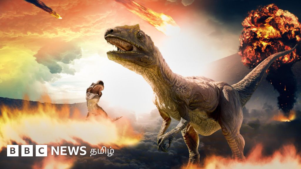 டைனோசர்கள் அழிந்துபோது தப்பிய 'அணில்', மனிதர்கள் பிறக்க காரணமானது எப்படி?