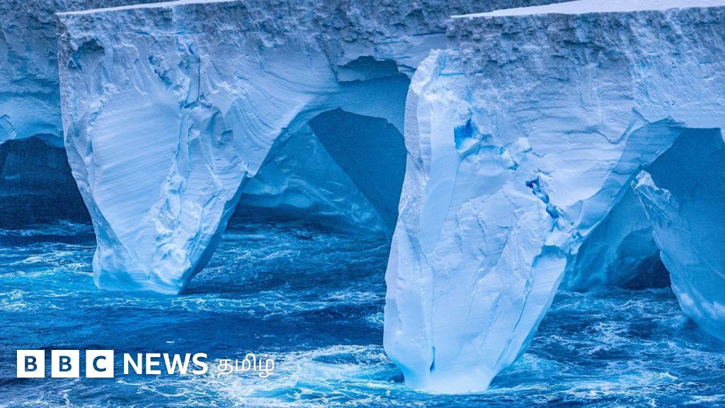 சிங்கப்பூரை விட பெரிய ராட்சத பனிப்பாறையின் நகர்வை 'அழிவின் பாதை' என்று விஞ்ஞானிகள் கூறுவது ஏன்?