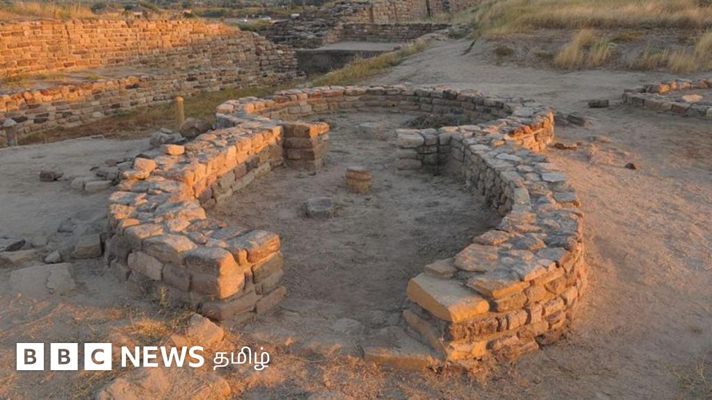 தோலாவிரா - கடலுடன் சேர்ந்து காணாமல் போன சிந்து சமவெளி நகரம் - என்ன நடந்தது?