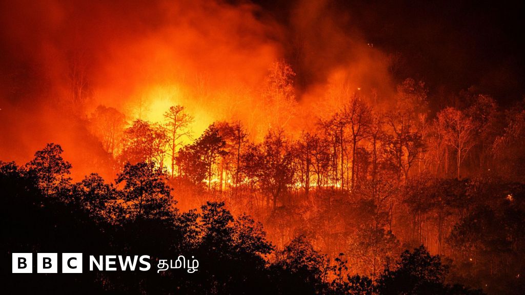 காலநிலை மாற்றம்: 1.5 டிகிரியை தாண்டி உயர்ந்த புவி வெப்பநிலை - பேரழிவை தடுக்கும் ஒரே வழி