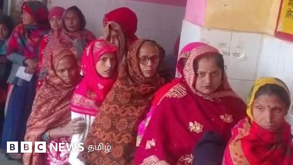 நாய்க்கடியால் இறந்த எருமையின் பாலில் இருந்து ரேபிஸ் பரவுமா? மருத்துவமனைக்கு மக்கள் படையெடுப்பு