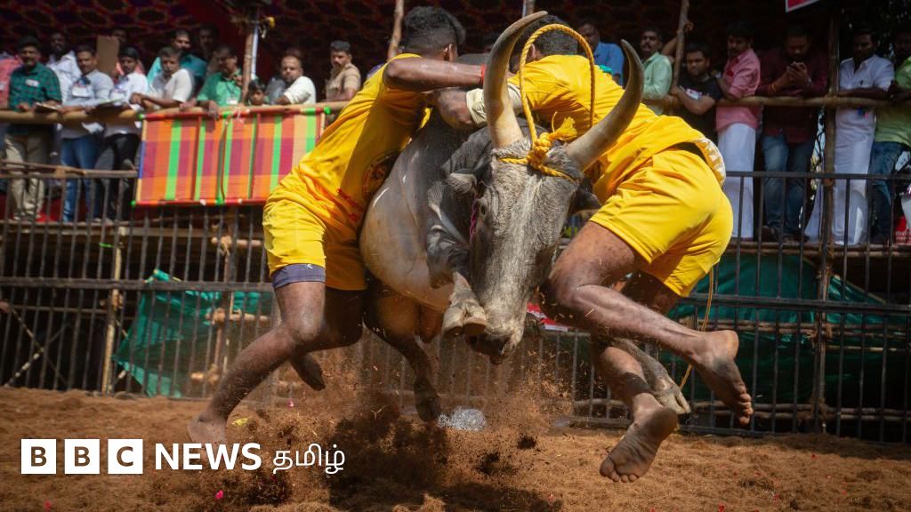 அவனியாபுரம் ஜல்லிக்கட்டு கோலாகலம் - மாடுபிடி வீரர்களுடன் களத்தில் நின்ற சிறுவன் 