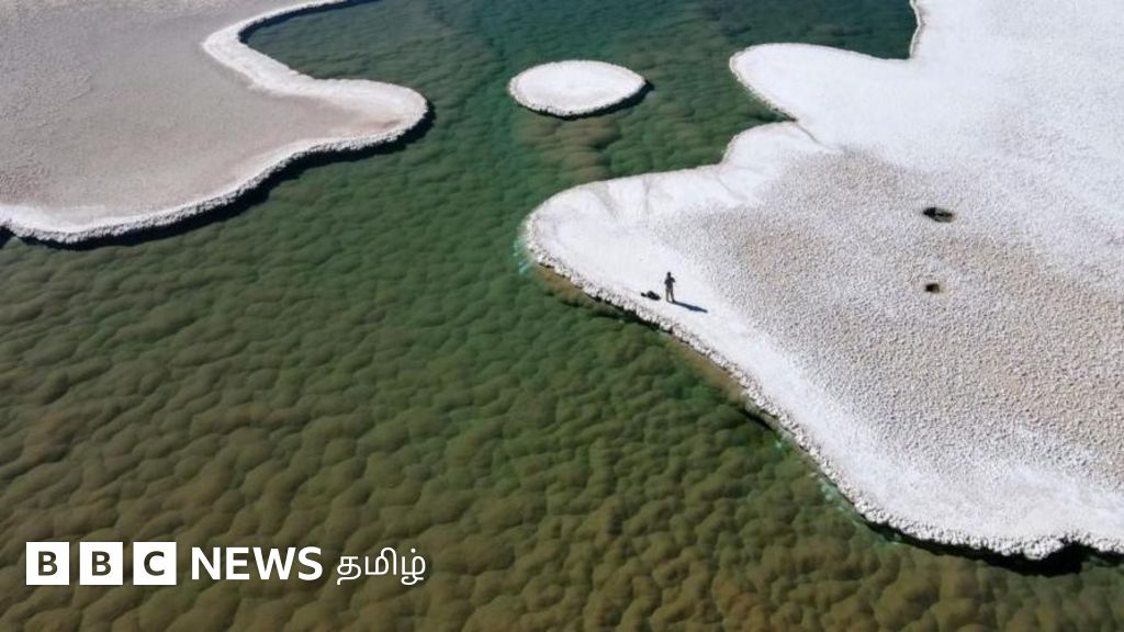 350 கோடி ஆண்டுகளுக்கு முன் தோன்றிய 'உயிருள்ள பாறைகள்' வாழும் உப்புநீர் தடாகம் - எங்கே உள்ளது தெரியுமா? 