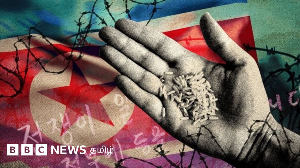 வட கொரியாவில் பட்டினியால் உயிரை மாய்த்துக்கொள்ளும் மக்கள் - பிபிசி கண்டறிந்த உண்மைகள்