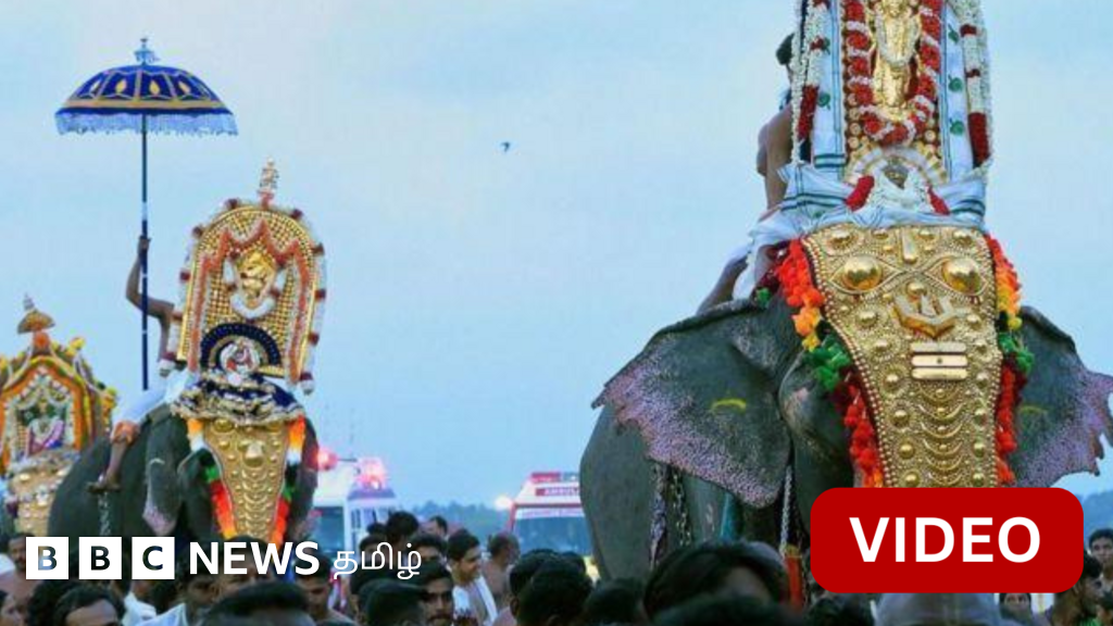 விமான ஓடுதளத்தில் சாமி ஊர்வலம், மூடப்பட்ட விமான நிலையம் – எங்கு நடந்தது?