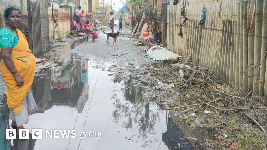 சென்னை எண்ணூரில் எங்கு பார்த்தாலும் எண்ணெய் படலம் - எங்கிருந்து கசிந்தது? பிபிசி கள ஆய்வு