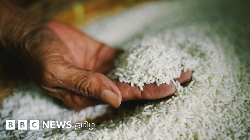 அரிசி விலை தொடர்ந்து உயர்வது ஏன்? தமிழ் நாட்டில் தட்டுப்பாடு வருமா?