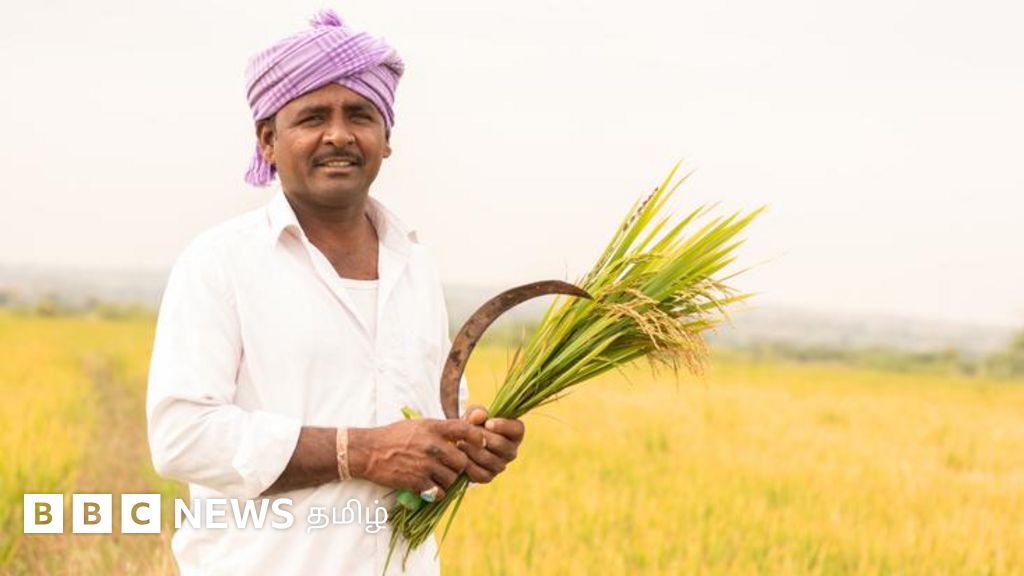 நெல் கொள்முதல் விலை அதிகரிப்பால் விவசாயிகள் மகிழ்ச்சி - அரிசி விலை உயருமா?