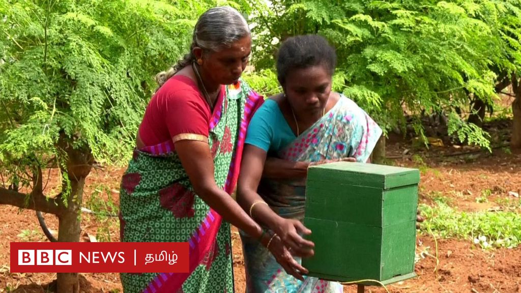 a-women-s-self-help-group-earning-lakhs-of-rupees-through-the-production-of-moringa-flower