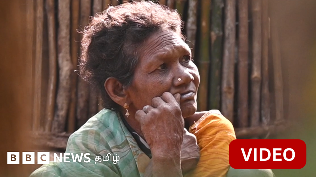 காணொளி: அடர் வனத்தில் தனியே வசிக்கும் குடும்பம் - வெளியாட்களை கண்டால் குடும்பத்தலைவர் ஓடிவிடுவது ஏன்?