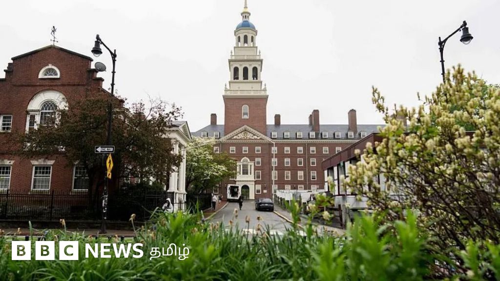 ஹார்வர்ட்: வெளிநாட்டு மாணவர்களுக்கு தடை விதித்த டிரம்ப், வழக்கு தொடர்ந்த பல்கலைக்கழகம்
