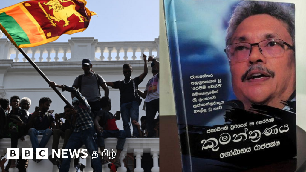 இலங்கையில் ராஜபக்ஸவை விரட்டியடித்தது யார்? தமிழர்கள், வெளிநாட்டு சக்தி பற்றி அவர் கூறுவது என்ன?